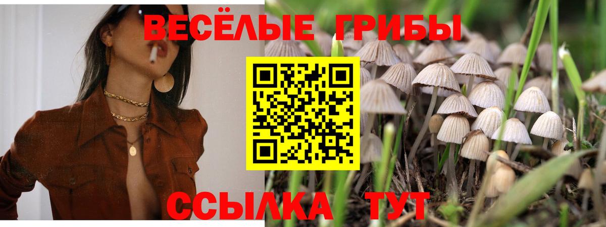 Кашира  Галлюциногенные грибы Psilocybine cubensis  купить   Вход с VPN 